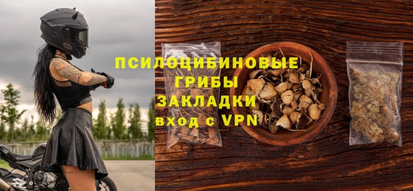 соль ск Арсеньев
