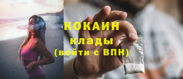 соль ск Арсеньев