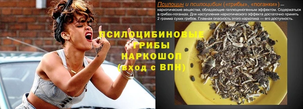 ПСИЛОЦИБИНОВЫЕ ГРИБЫ Алексеевка