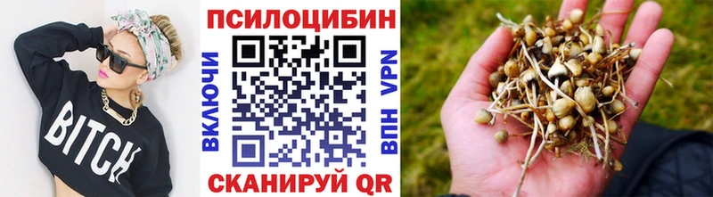 Псилоцибиновые грибы ЛСД Рославль