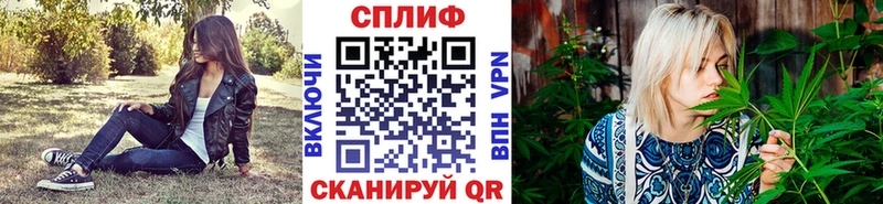МАРИХУАНА White Widow  цена   Рославль 
